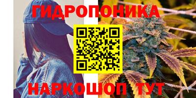 трава Моздок